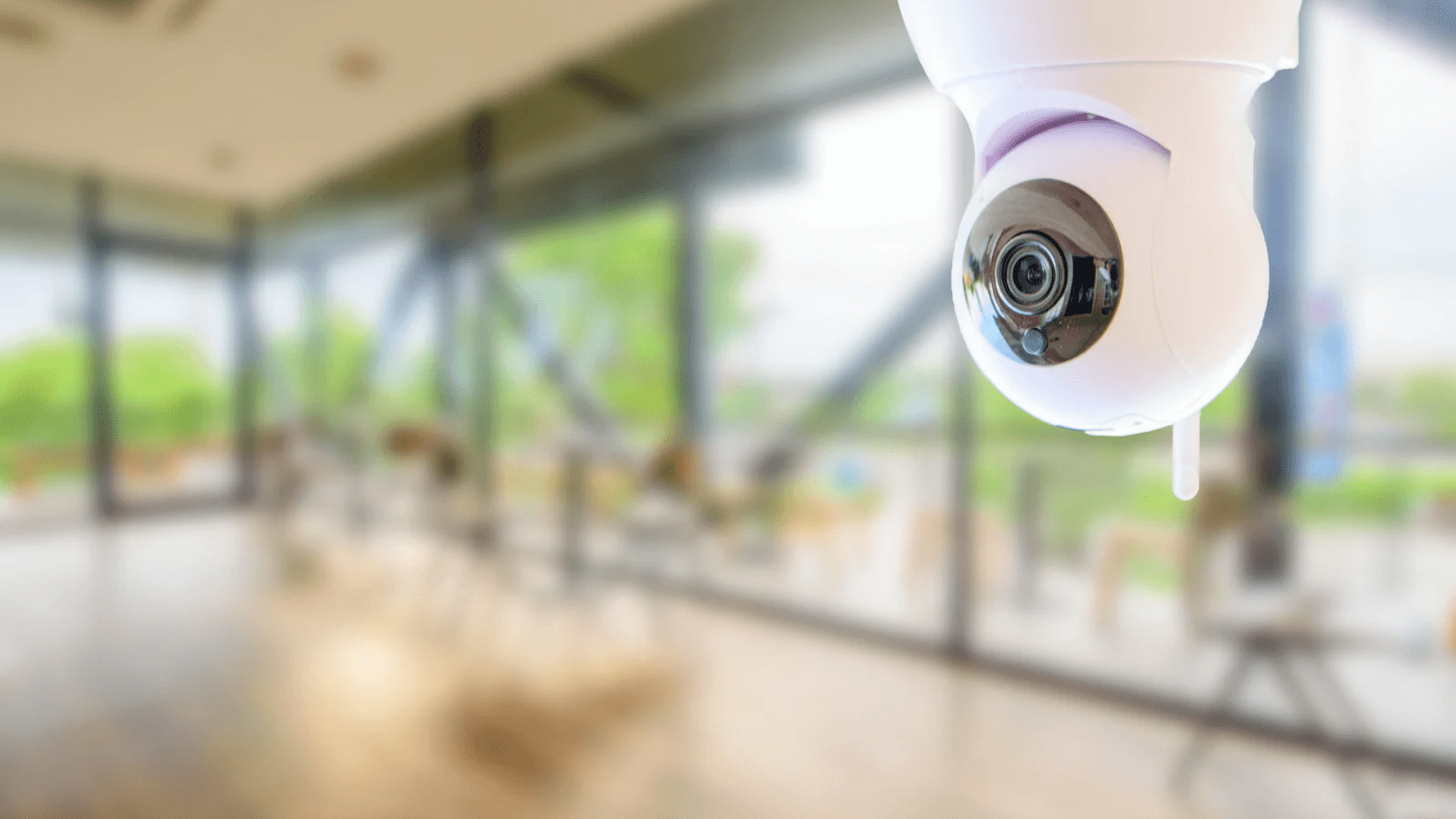 Monitoring IP czy analogowy, który system wybrać dla firmy?