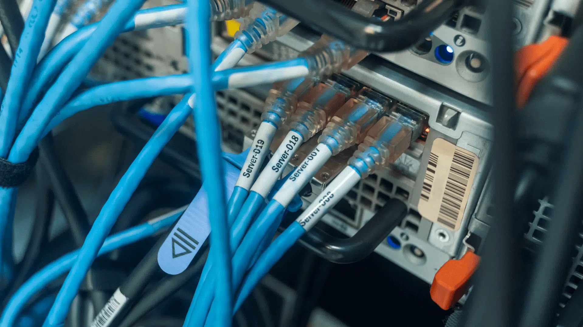 Sieci komputerowe w firmie – od czego zacząć i na co zwrócić uwagę?