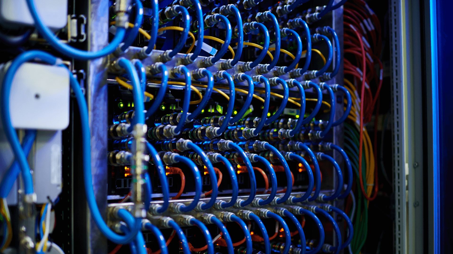 Sieć komputerowa w firmie – dlaczego warto postawić na profesjonalny montaż i wsparcie IT